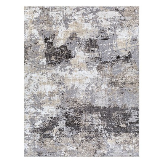 Surya Daytona Beach Medium Gray Rug 7'10" X 10'