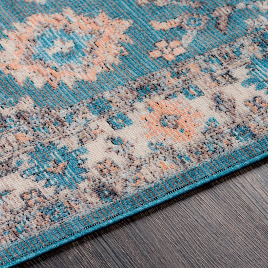 Surya Daytona Beach Rug 5'3" X 7' (Blue & Brick Red)