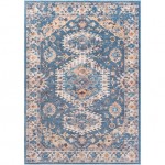 Surya Daytona Beach Rug 7'10" X 10' (Blue & Brick Red)