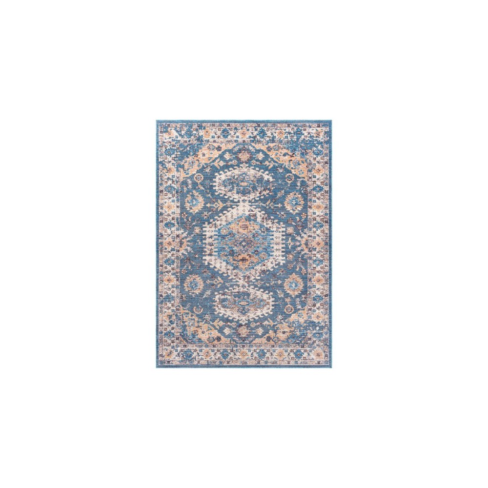 Surya Daytona Beach Rug 7'10" X 10' (Blue & Brick Red)