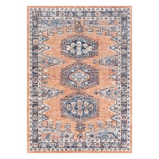 Surya Daytona Beach Rug 5'3" X 7' (Brick Red & Red)