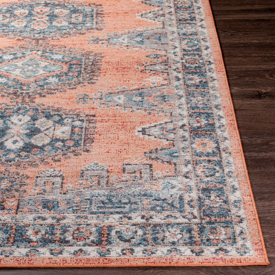 Surya Daytona Beach Rug 5'3" X 7' (Brick Red & Red)