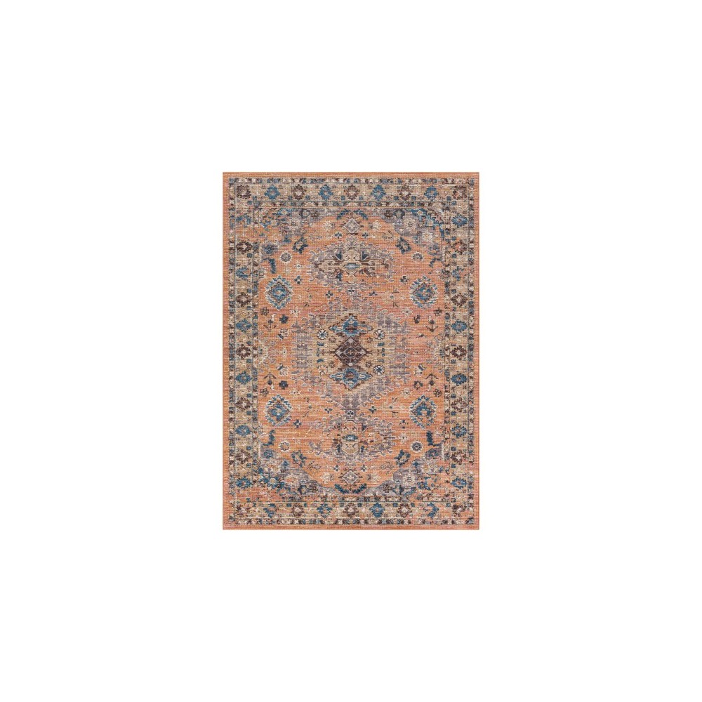 Surya Daytona Beach Rug 7'10" X 10' (Brick Red & Blue)