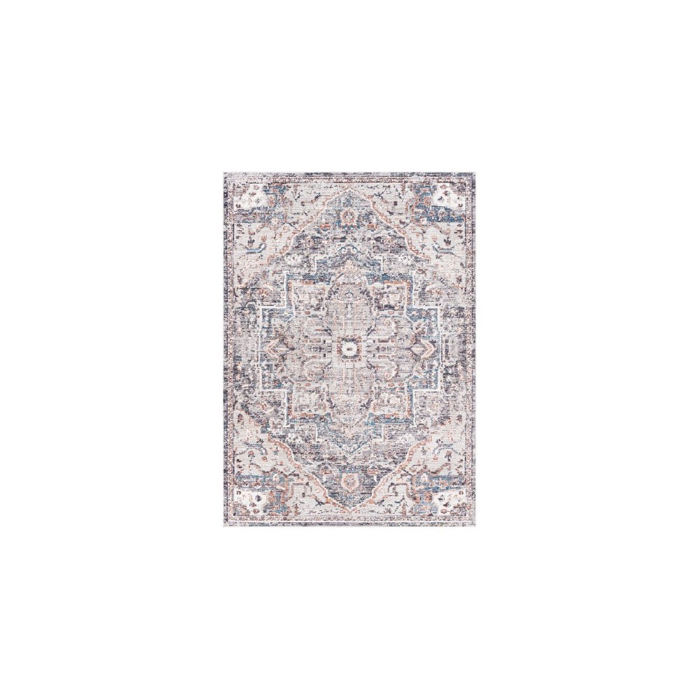 Surya Daytona Beach Rug 5'3" X 7' (Light Gray & Medium Gray)