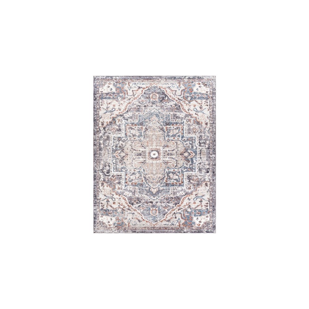 Surya Daytona Beach Rug 7'10" X 10' (Light Gray & Medium Gray)