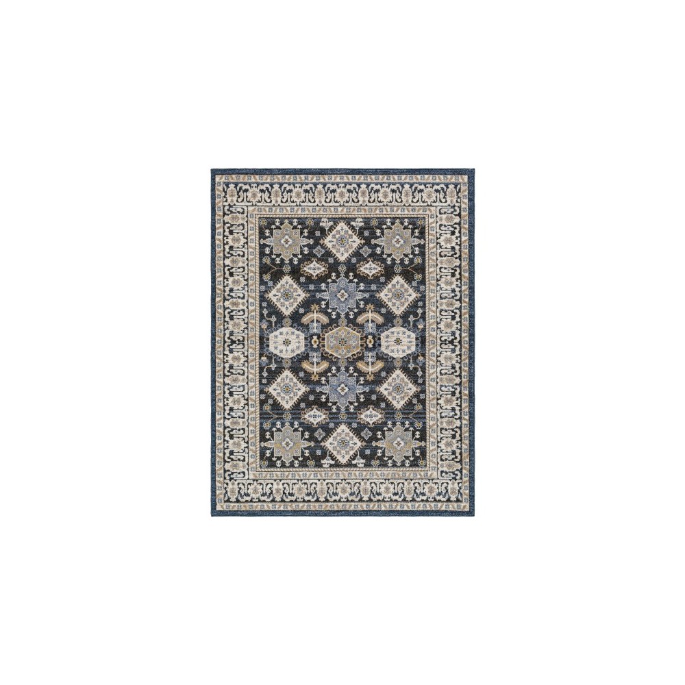 Surya Delphi Dep-2307 Rug 5'3" X 7' Surya Delphi Dep-2307 Rug 5'3" X 7'