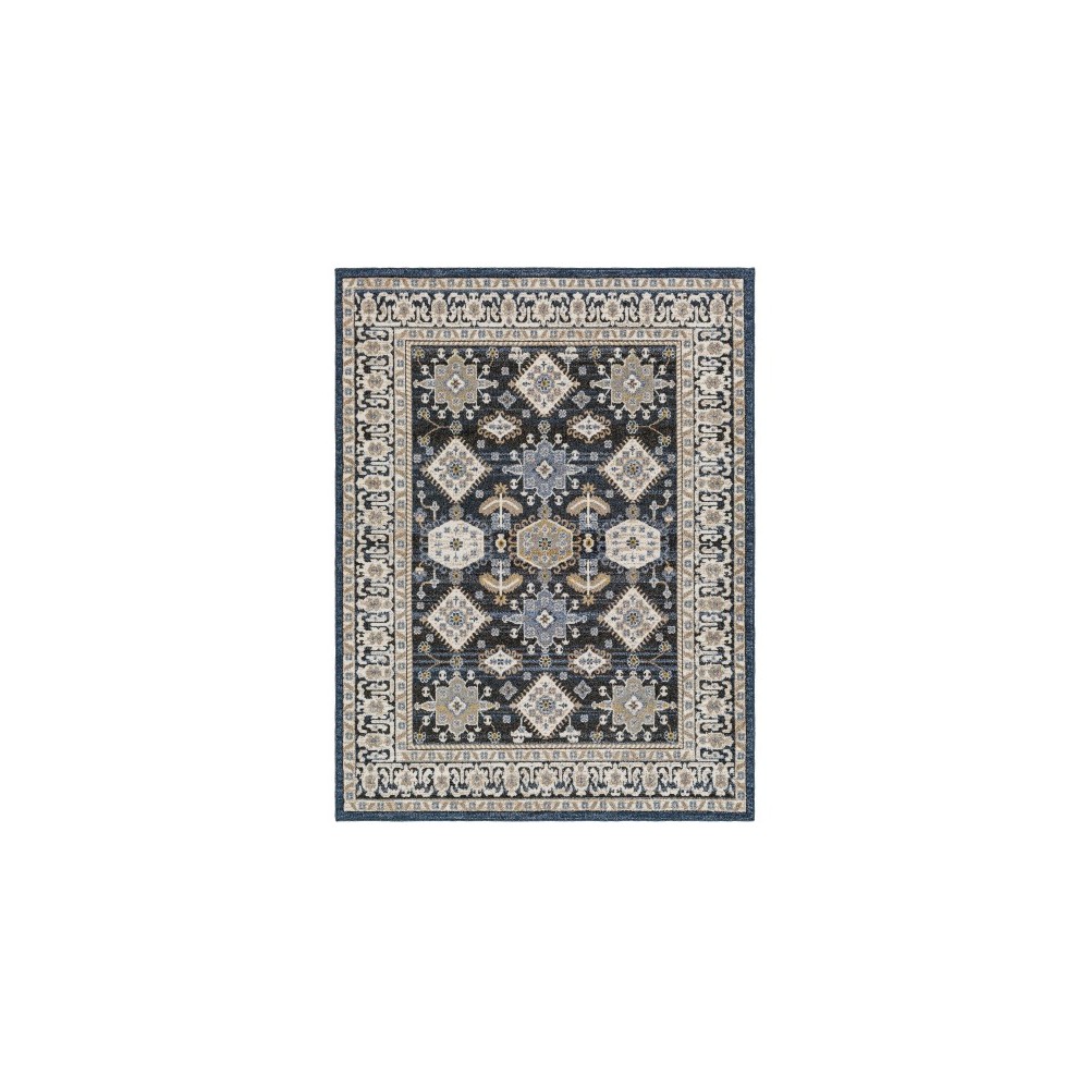 Surya Delphi Dep-2307 Rug 6'7" X 9'