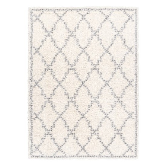 Surya Deluxe Shag Rug 2' X 3' (Off-White & Medium Gray)