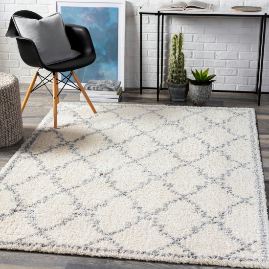 Surya Deluxe Shag Rug 2' X 3' (Off-White & Medium Gray)