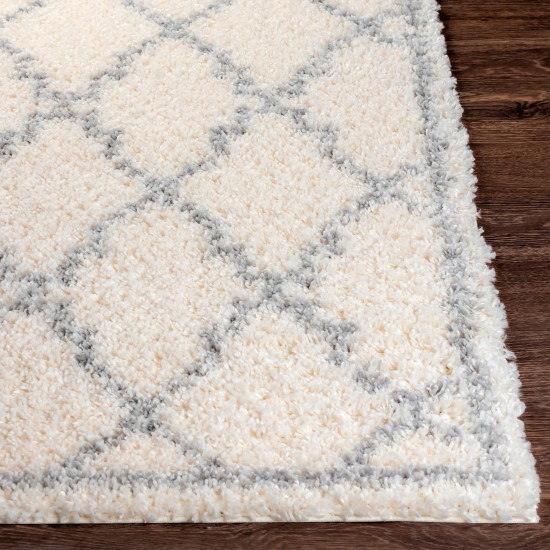 Surya Deluxe Shag Rug 5'3" X 7'3" (Off-White & Medium Gray)