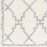 Surya Deluxe Shag Rug 5'3" X 7'3" (Off-White & Medium Gray)