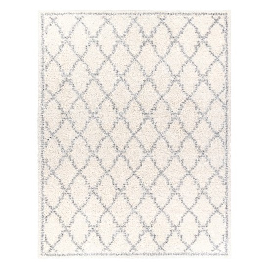 Surya Deluxe Shag Rug 7'10" X 10'3" (Off-White & Medium Gray)