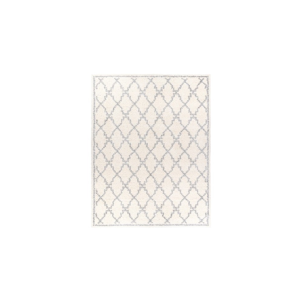 Surya Deluxe Shag Rug 7'10" X 10'3" (Off-White & Medium Gray)