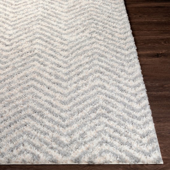 Surya Deluxe Shag Rug 2' X 3' - Medium Gray, Off-White