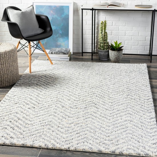 Surya Deluxe Shag Rug 5'3" X 7'3" - Medium Gray, Off-White