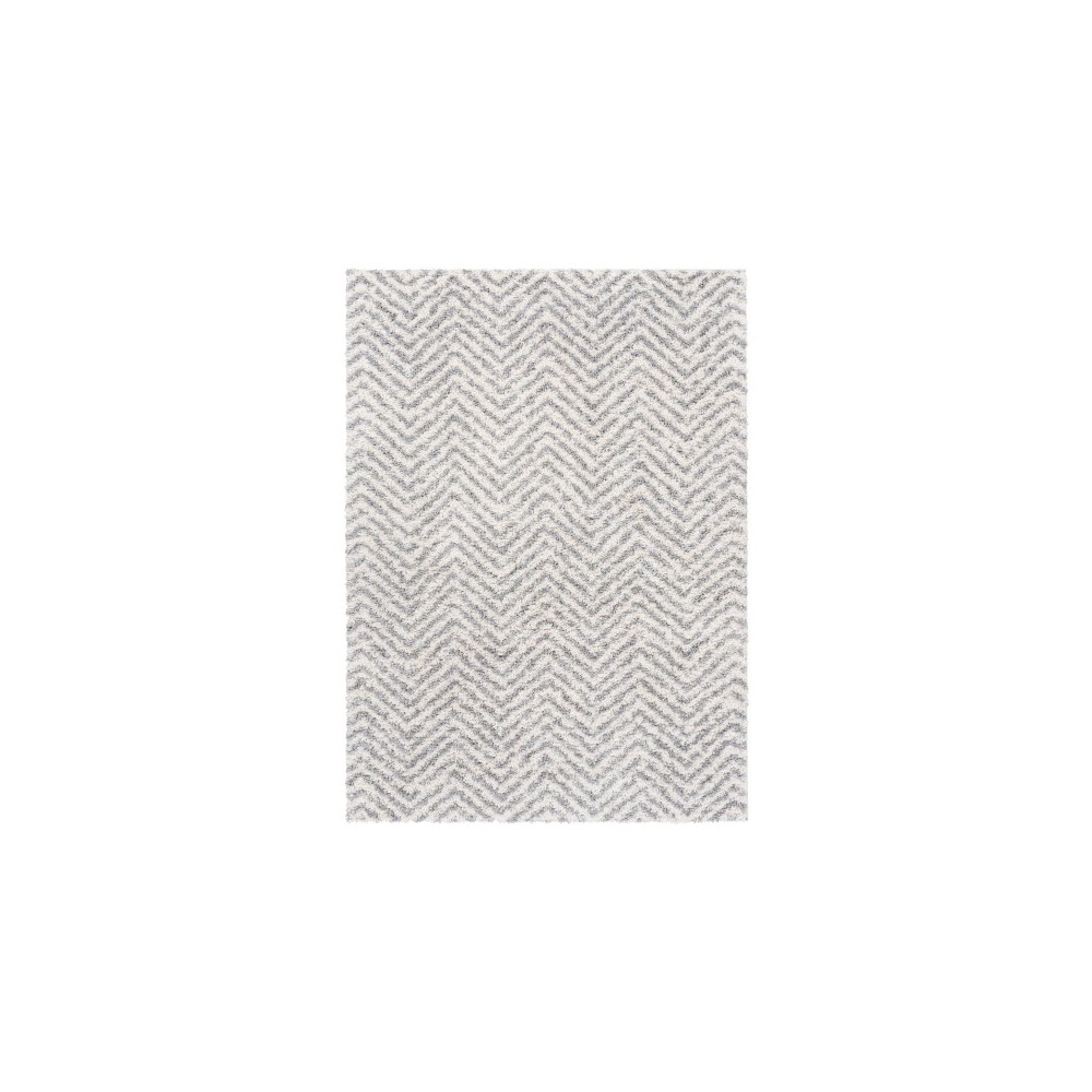 Surya Deluxe Shag Rug 6'7" X 9' - Medium Gray, Off-White