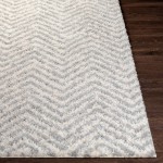 Surya Deluxe Shag Rug 6'7" X 9' - Medium Gray, Off-White