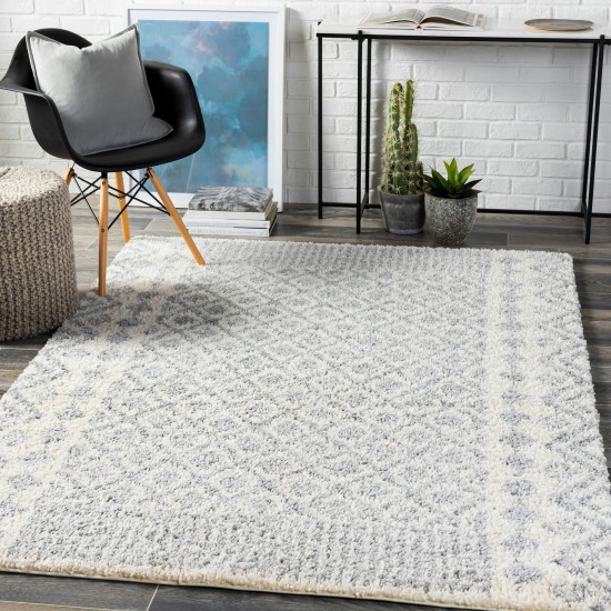 Surya Deluxe Shag Black Rug 2' X 3'