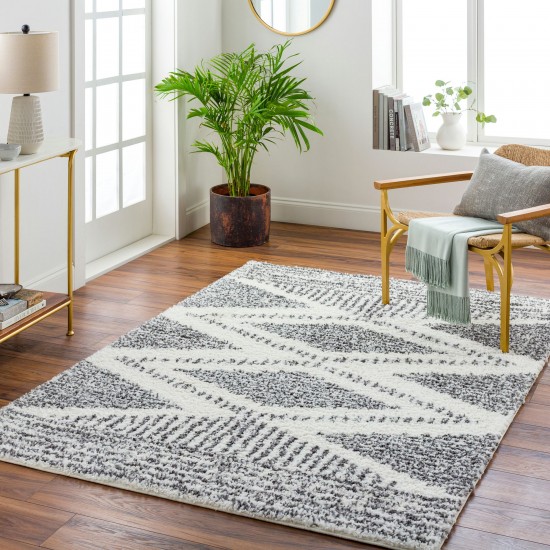 Surya Deluxe Shag Rug 2' X 3' (Cream & Charcoal)