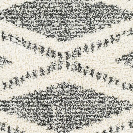 Surya Deluxe Shag Rug 7'10" X 10'3" (Cream & Charcoal)