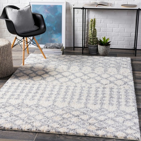 Surya Deluxe Shag Off-White Rug 5'3" X 7'3"