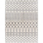 Surya Deluxe Shag Off-White Rug 7'10" X 10'3"