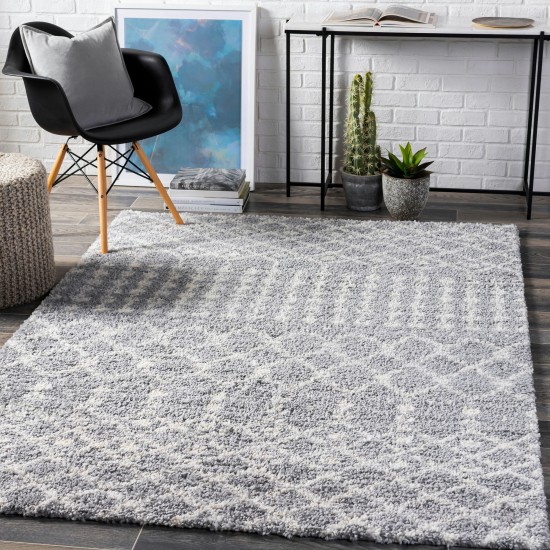 Surya Deluxe Shag Medium Gray Rug 2' X 3'