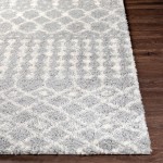 Surya Deluxe Shag Medium Gray Rug 2' X 3'