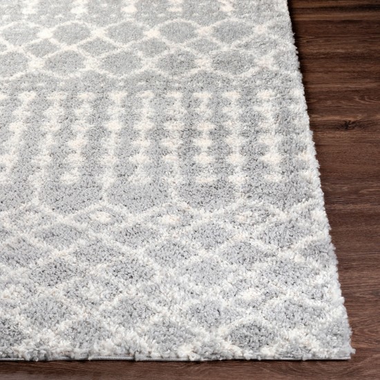 Surya Deluxe Shag Medium Gray Rug 7'10" X 10'3"