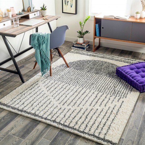 Surya Deluxe Shag Rug 2' X 3' - Cream, Charcoal