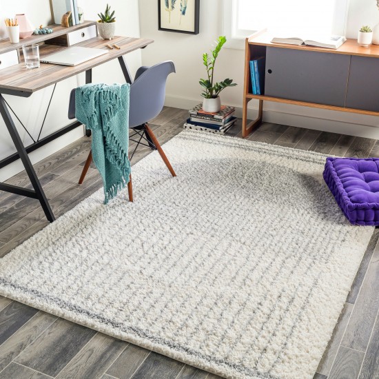 Surya Deluxe Shag Rug 2' X 3' - Cream, Light Gray