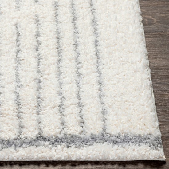 Surya Deluxe Shag Rug 5'3" X 7'3" - Cream, Light Gray