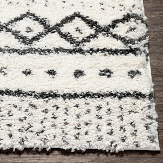 Surya Deluxe Shag Rug 5'3" X 7'3" - Cream