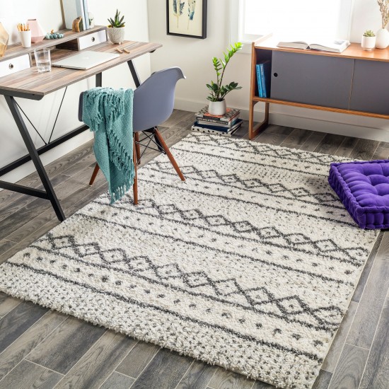 Surya Deluxe Shag Cream Rug 6'7" X 9'6"