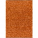 Surya Deluxe Shag Dxs-2322 Rug 2' X 3'