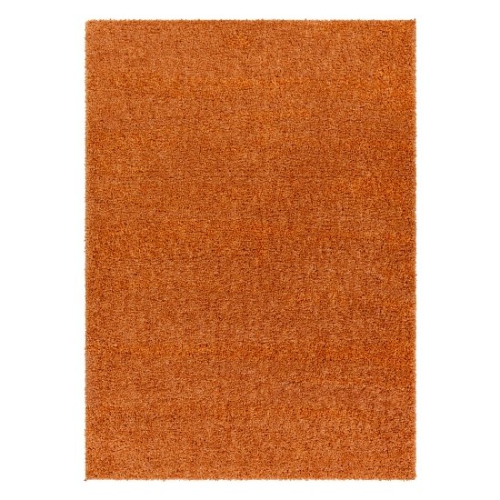 Surya Deluxe Shag Dxs-2322 Rug 2' X 3'