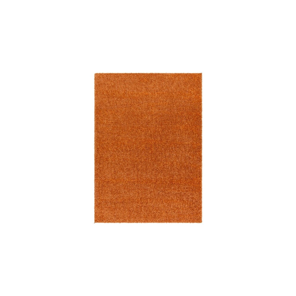Surya Deluxe Shag Dxs-2322 Rug 2' X 3' Surya Deluxe Shag Dxs-2322 Rug 2' X 3'