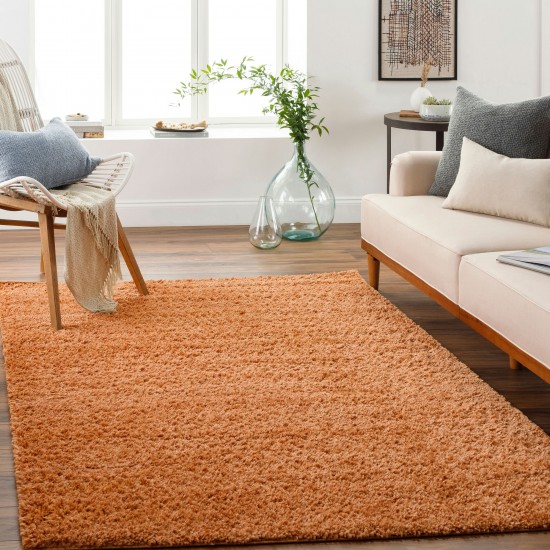 Surya Deluxe Shag Dxs-2322 Rug 2' X 3'