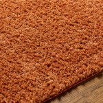 Surya Deluxe Shag Dxs-2322 Rug 2' X 3'
