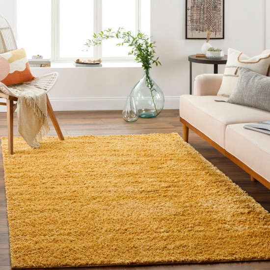 Surya Deluxe Shag Dxs-2323 Rug 2' X 3'