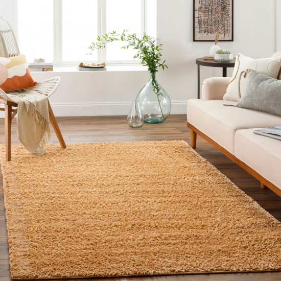 Surya Deluxe Shag Dxs-2324 Rug 2' X 3'