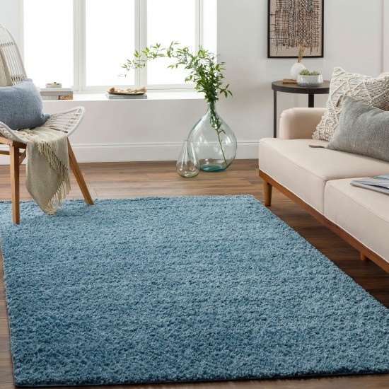 Surya Deluxe Shag Dxs-2325 Rug 2' X 3'