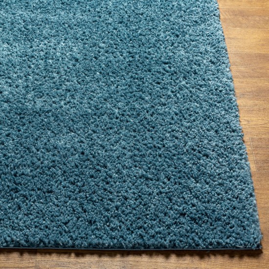 Surya Deluxe Shag Dxs-2325 Rug 6'7" X 9'