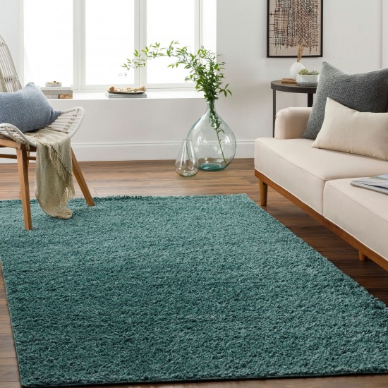 Surya Deluxe Shag Dxs-2326 Rug 2' X 3'