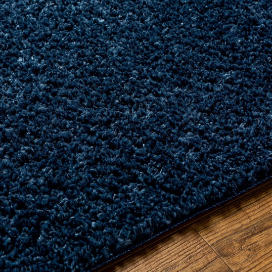 Surya Deluxe Shag Dxs-2327 Rug 5'3" X 7'3"
