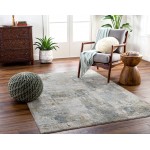 Surya Dresden Dusty Sage Rug 2'7" X 4'