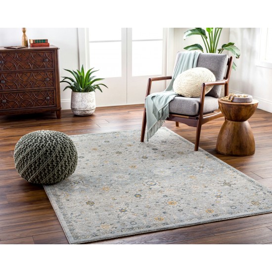 Surya Dresden Rug 10' X 14' (Taupe)