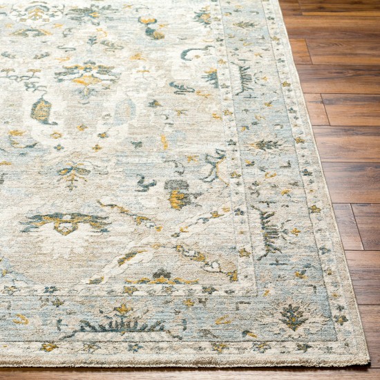 Surya Dresden Off-White Rug 2'7" X 10'