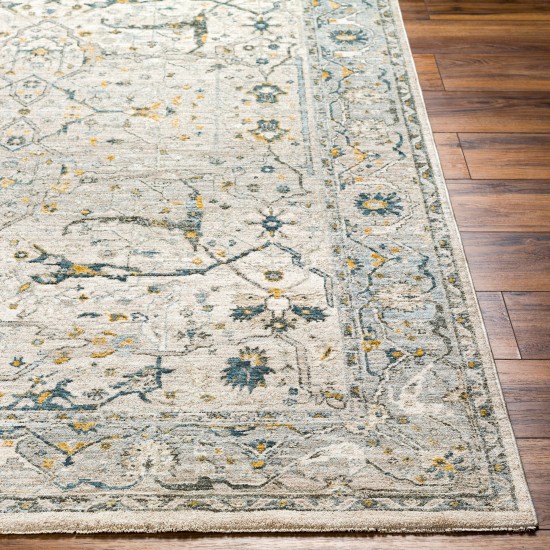 Surya Dresden Rug 2'7" X 10' In Taupe