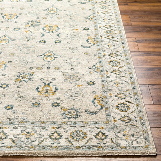 Surya Dresden Taupe Rug 10' X 14'